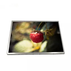 G121SN01 V403 AUO LCD Panel 12.1 بوصة 800x600 500 شمعة في المتر المربع وحدة TFT LCD
