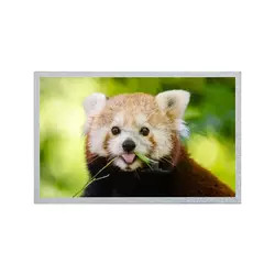 12.1 بوصة AUO LCD Panel 800 * 600 G121S1-L02 REV C4 / REV C6 TFT LCD Display Module